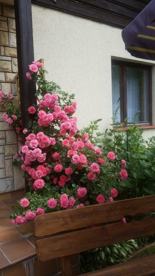 Apartament Jodlowy Щирк Екстериор снимка